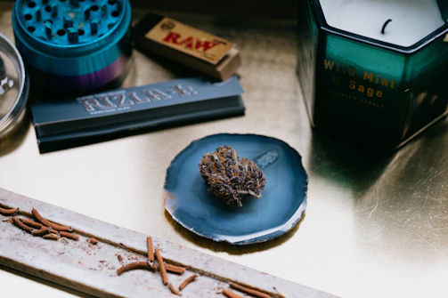 A collection of chillums crafted from natural stone, arranged artfully on a bed of dried leaves and twigs.