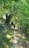 man in black jacket walking on green grass field during daytime