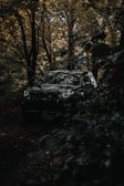 A black car is parked in a dense, shadowy forest. The vehicle is partially hidden by the surrounding foliage, creating a mysterious and adventurous atmosphere. The trees are dense with green leaves and the lighting is dim, emphasizing the secretive nature of the scene.