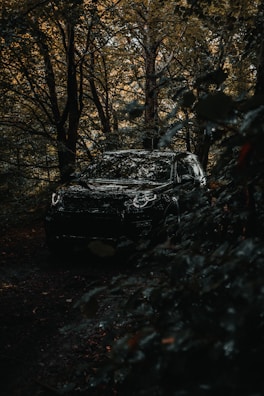 A black car is parked in a dense, shadowy forest. The vehicle is partially hidden by the surrounding foliage, creating a mysterious and adventurous atmosphere. The trees are dense with green leaves and the lighting is dim, emphasizing the secretive nature of the scene.