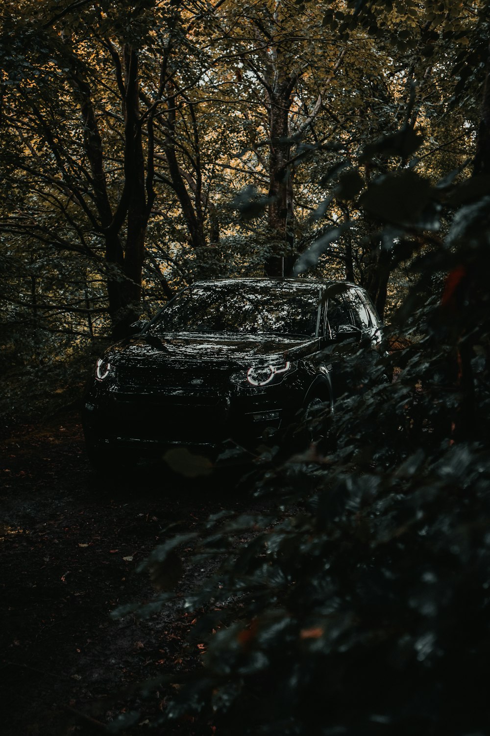 black car parked near trees during daytime