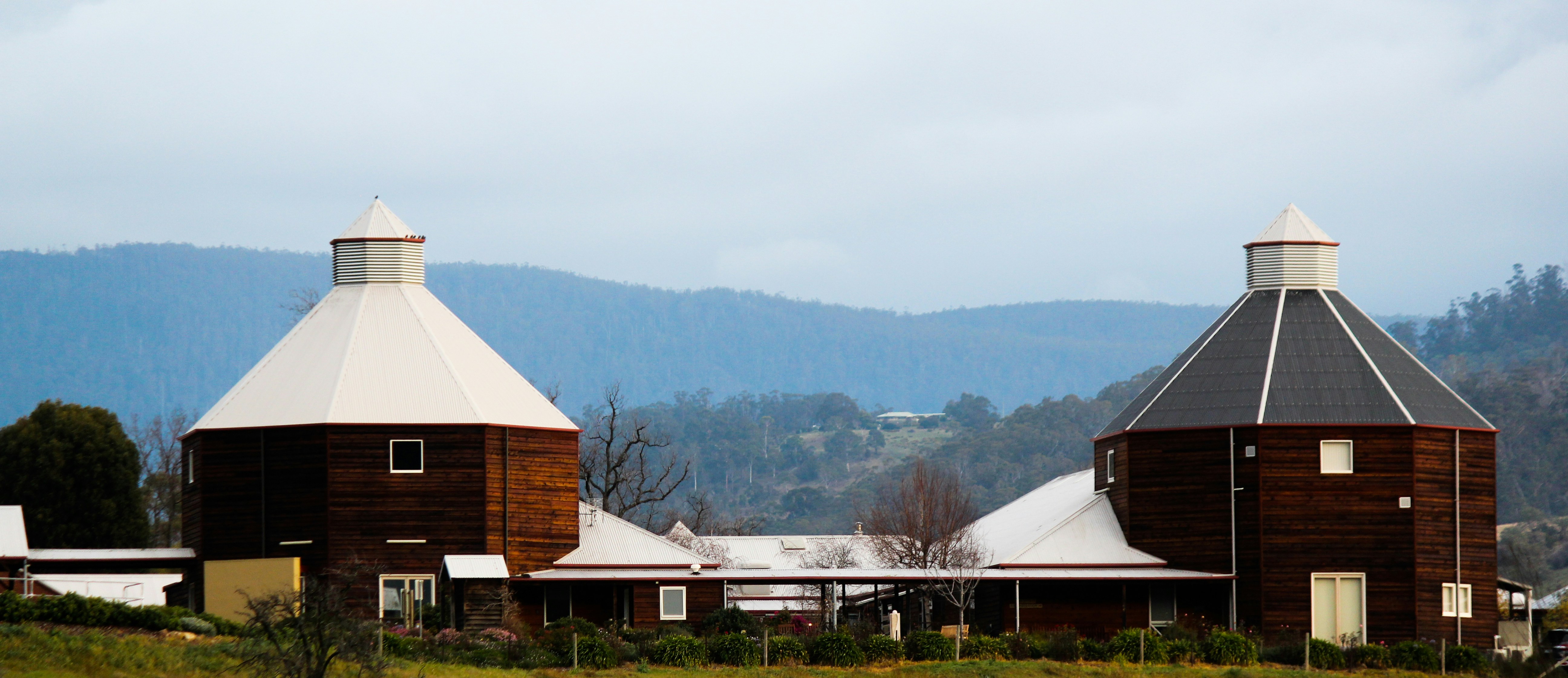 brown wooden house near green trees during daytime