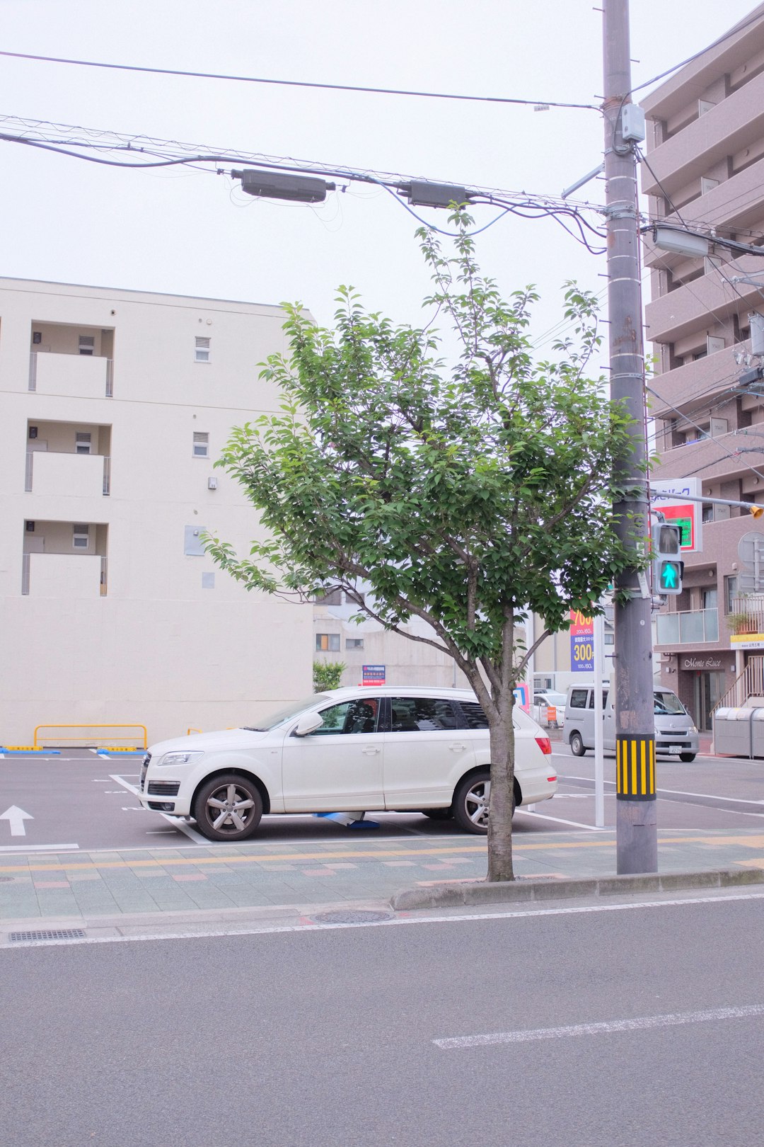 white suv parked beside green tree during daytime