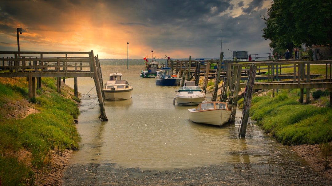 Bridge photo spot Talmont-sur-Gironde Pont de Pierre