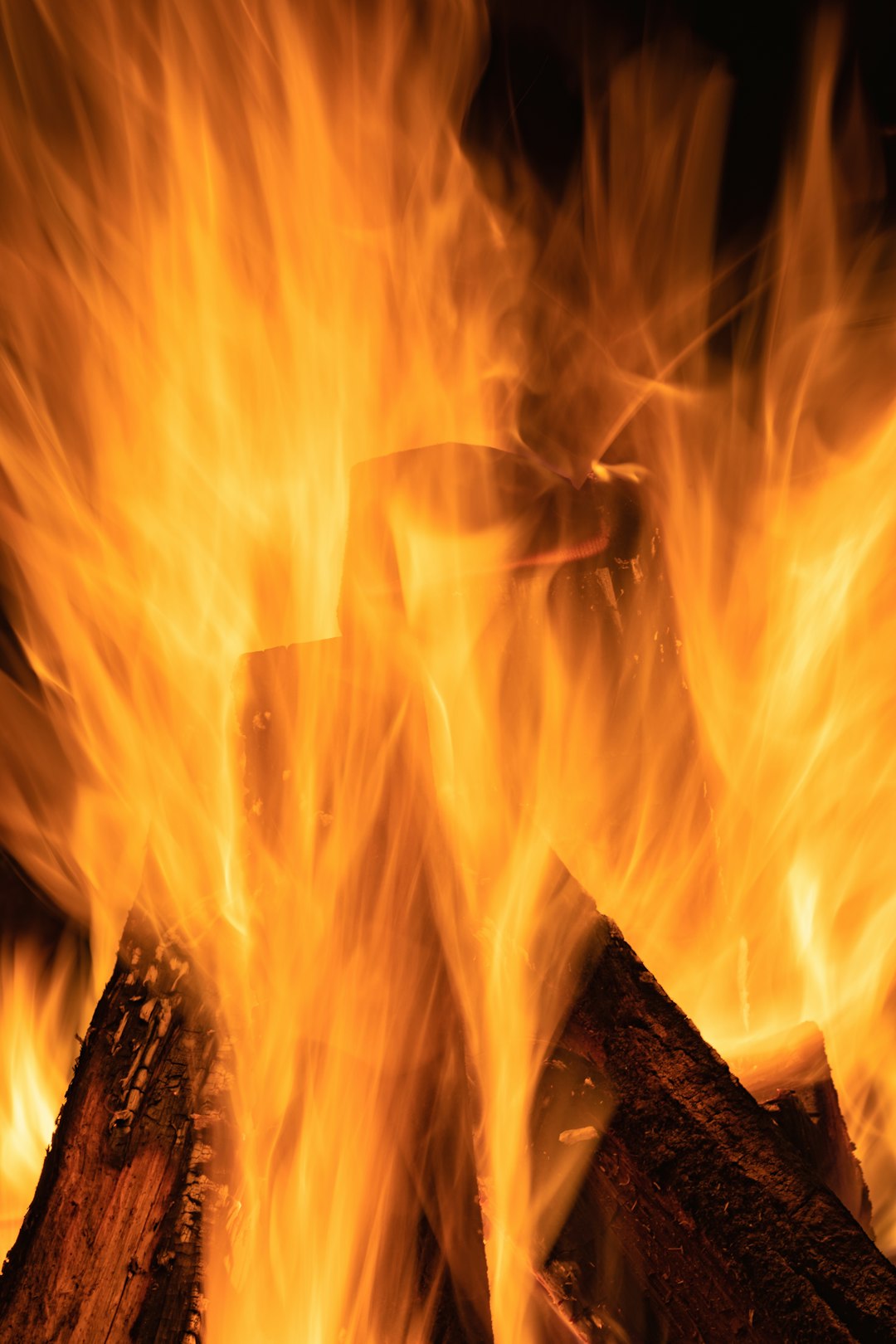 fire on brown wooden log