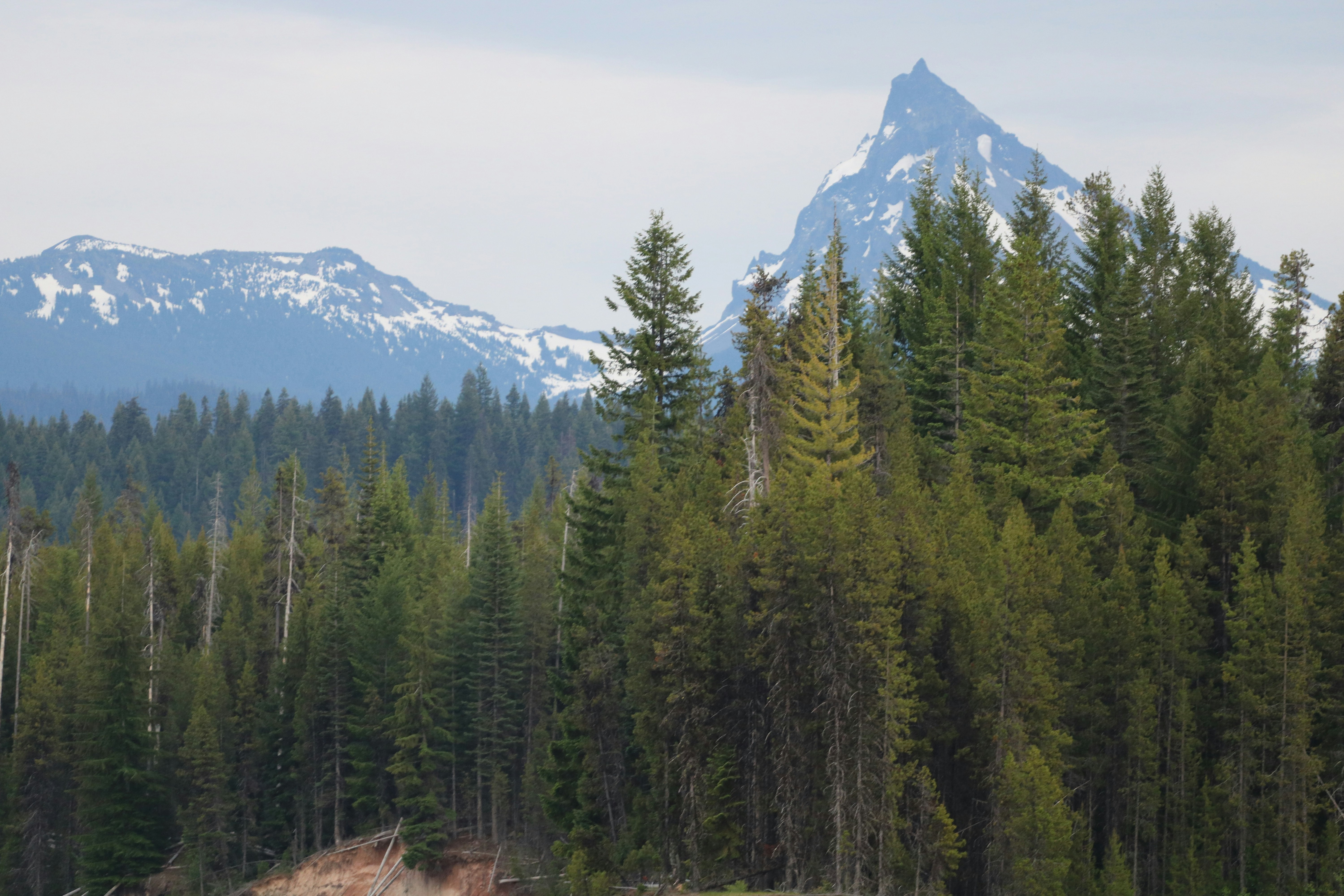 Photo by davidjboozer