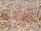 An arrangement of bricks forming a patterned design on a wall, featuring a mix of horizontal and diagonal placements creating geometric shapes. The bricks vary in shades of red and brown with some areas covered in mortar.