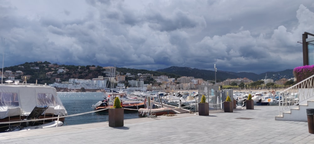 white and gray boats on sea shore during daytime