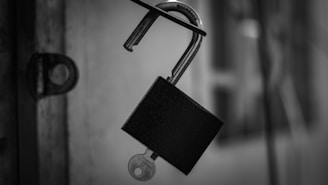 black and silver padlock in grayscale photography