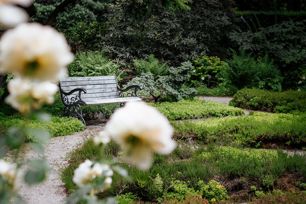 brown wooden bench on green grass field during daytime