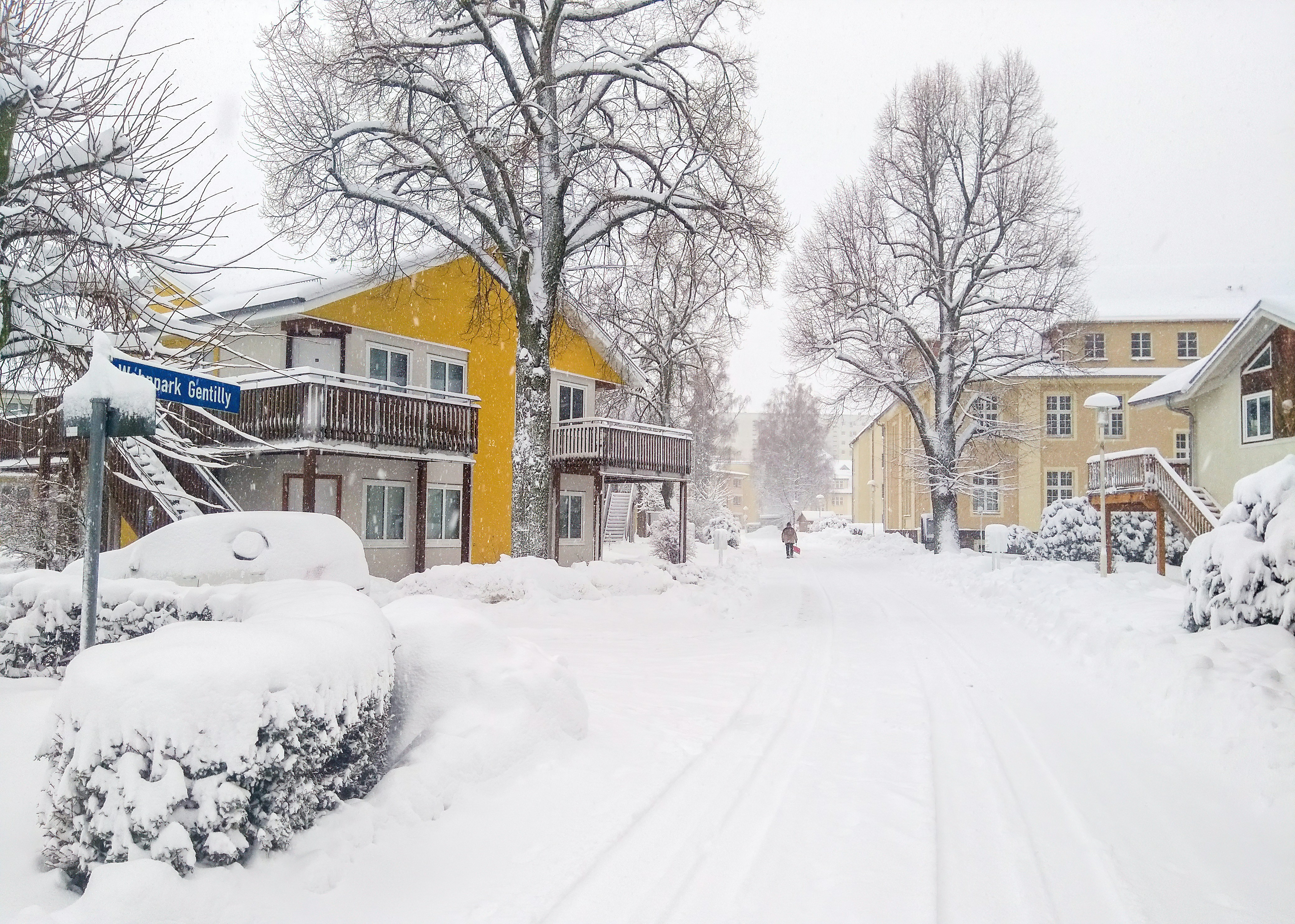 Photo by sangga_selia