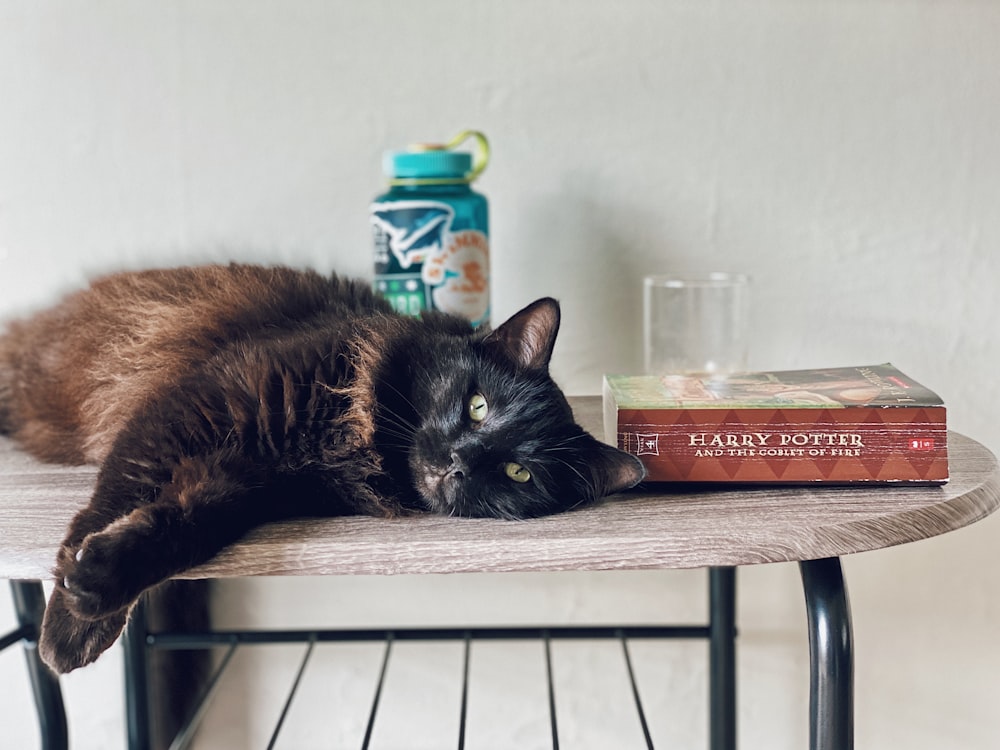 black cat on brown wooden table