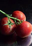 Tomate