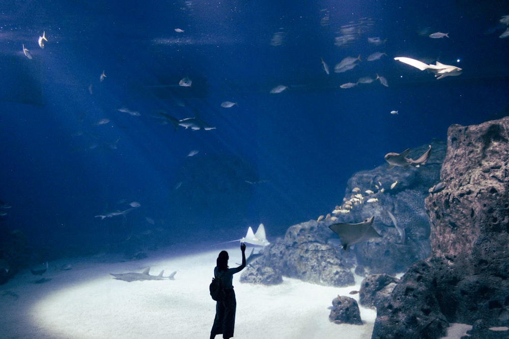 man in black long sleeve shirt standing on white sand near school of fish