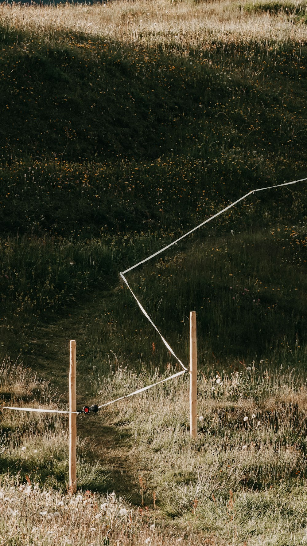 white metal frame on green grass field