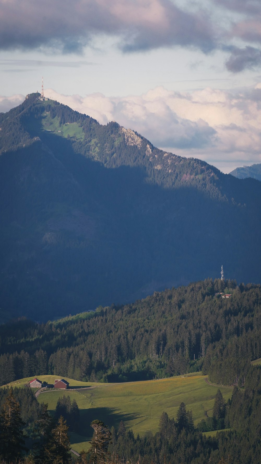 green trees on mountain during daytime