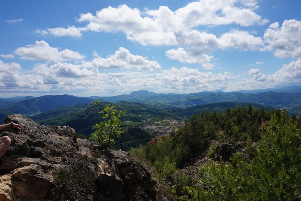 green trees on mountain under blue sky during daytime