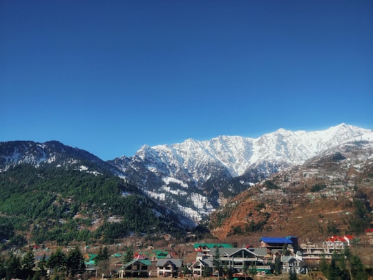 green trees on mountain under blue sky during daytime in Kullu India