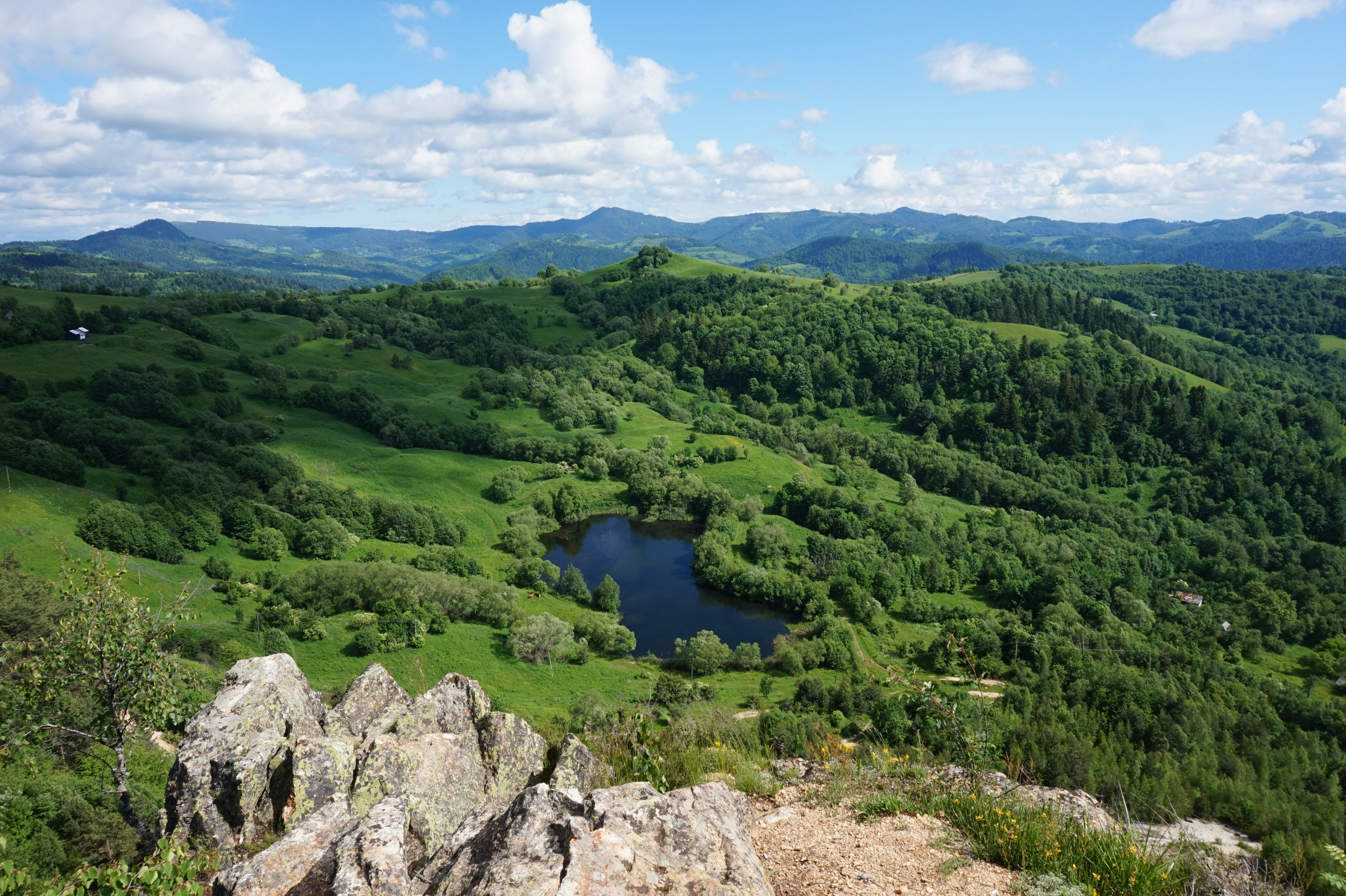green trees and lake under blue sky during daytime