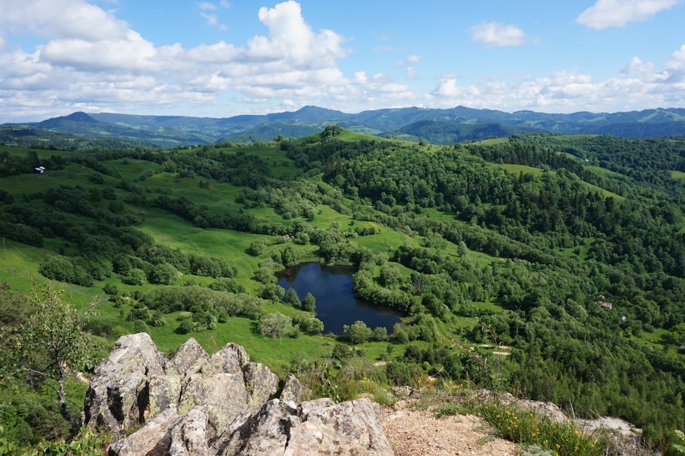 green trees and lake under blue sky during daytime