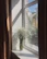 Elegant ceramic vase with floral design sitting on a sunlit windowsill.