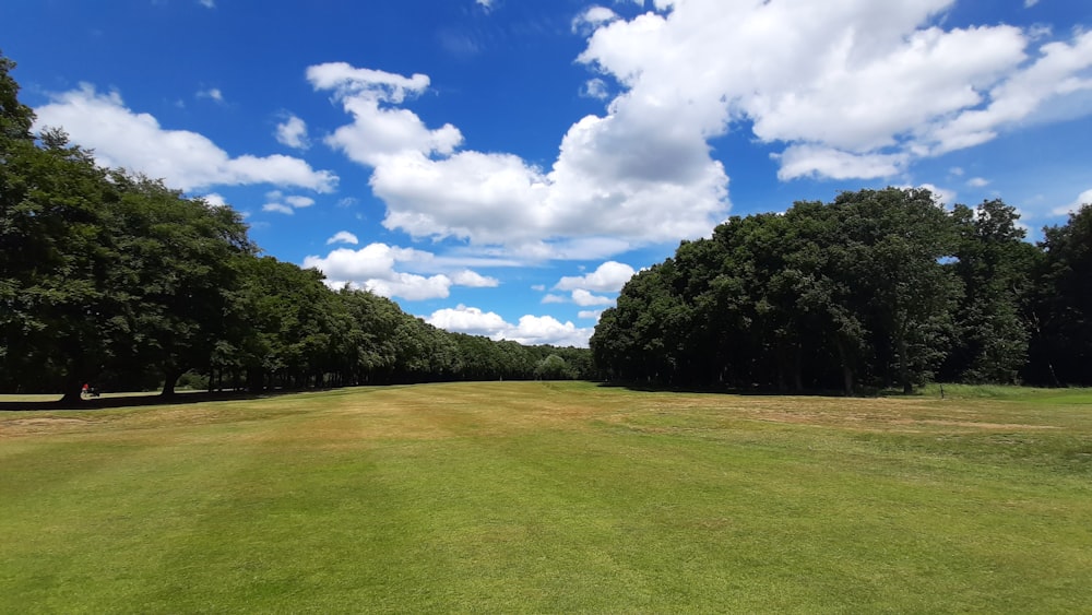 green grass field with trees under blue sky and white clouds during daytime