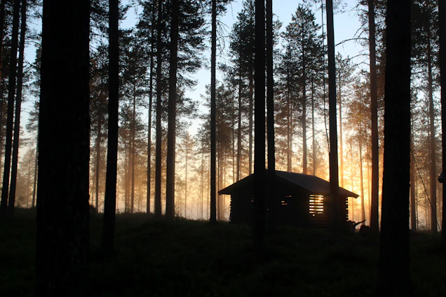 A friendly, furry bigfoot silhouette standing beside a rustic cabin in the woods at sunset.