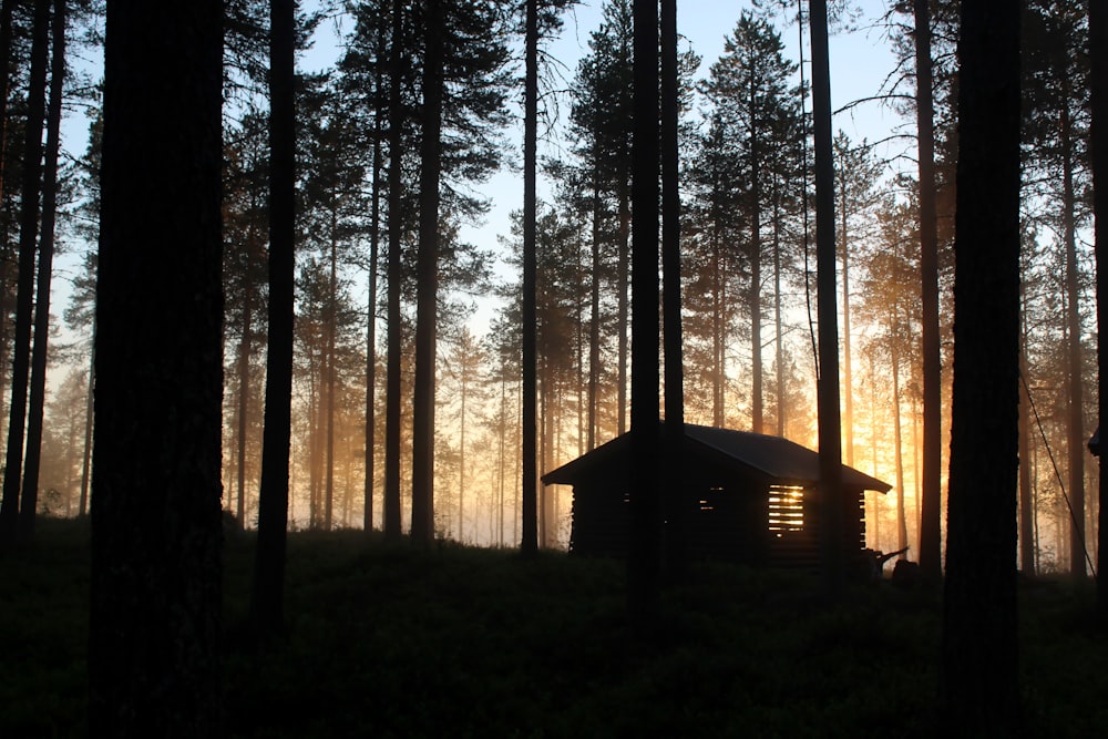 Braunes Holzhaus im Wald tagsüber