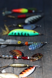 blue and green fish keychain