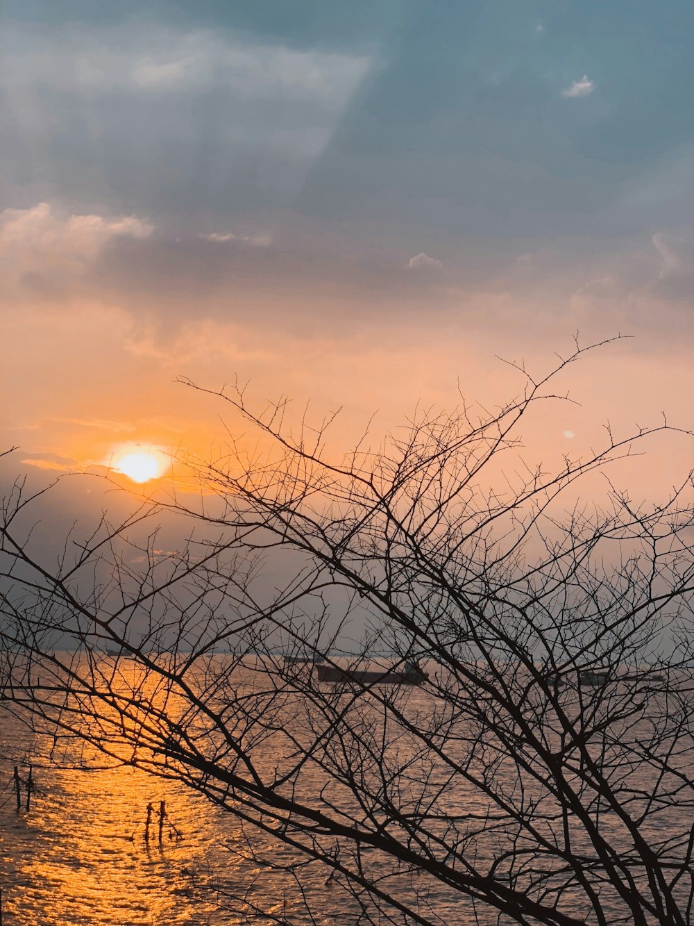 leafless tree under cloudy sky during daytime