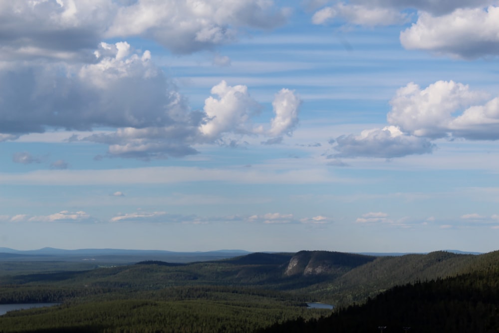 campo de hierba verde bajo nubes blancas y cielo azul durante el día