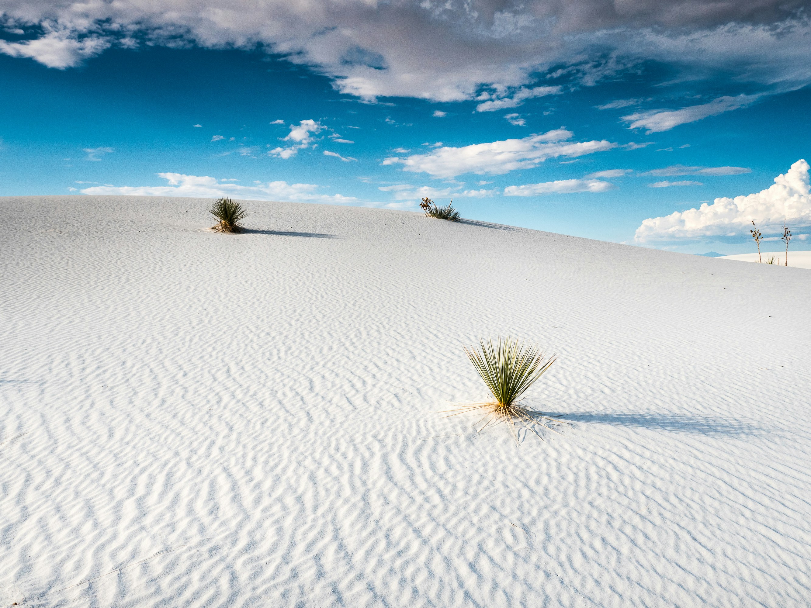 White Sands National Park - 1-Day Highlights