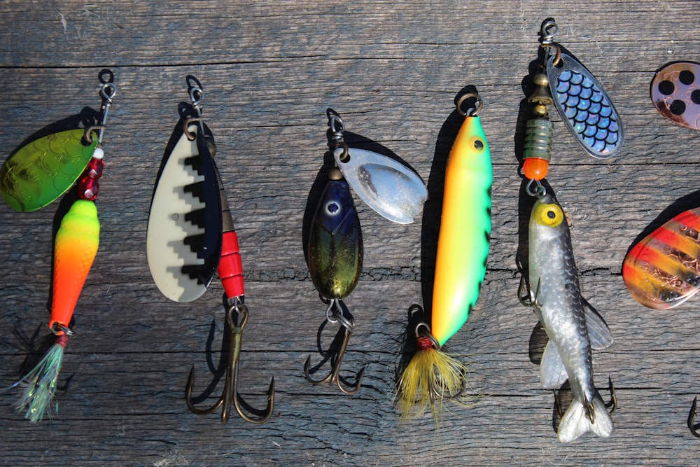 Fishing Lures Pictures  Download Free Images on Unsplash