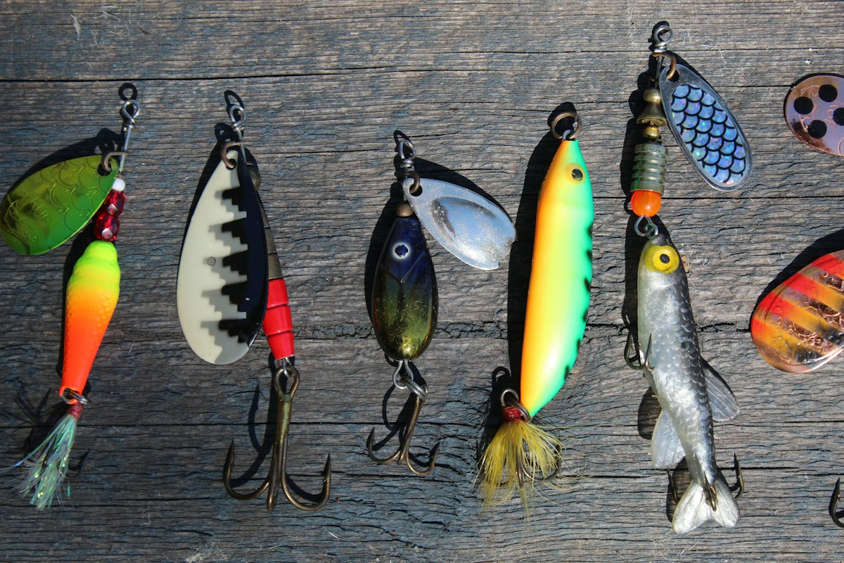 black-and-yellow-fish-wall-decor-viq9Ztqi3Vc collection background image