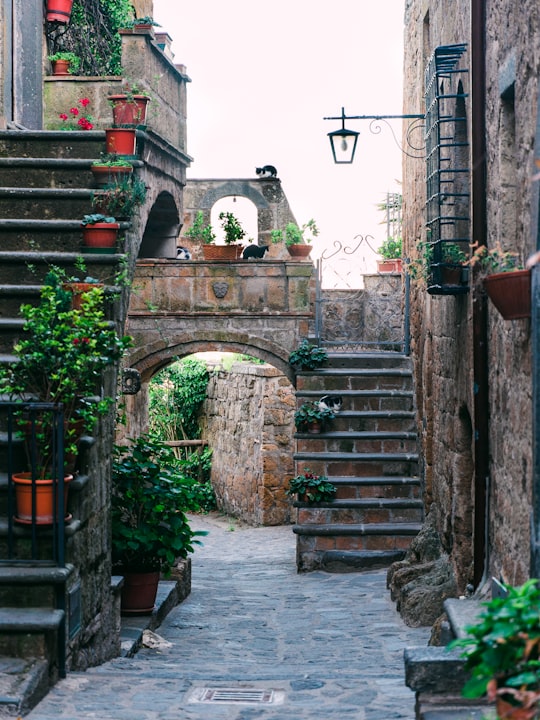 Civita di Bagnoregio things to do in Todi