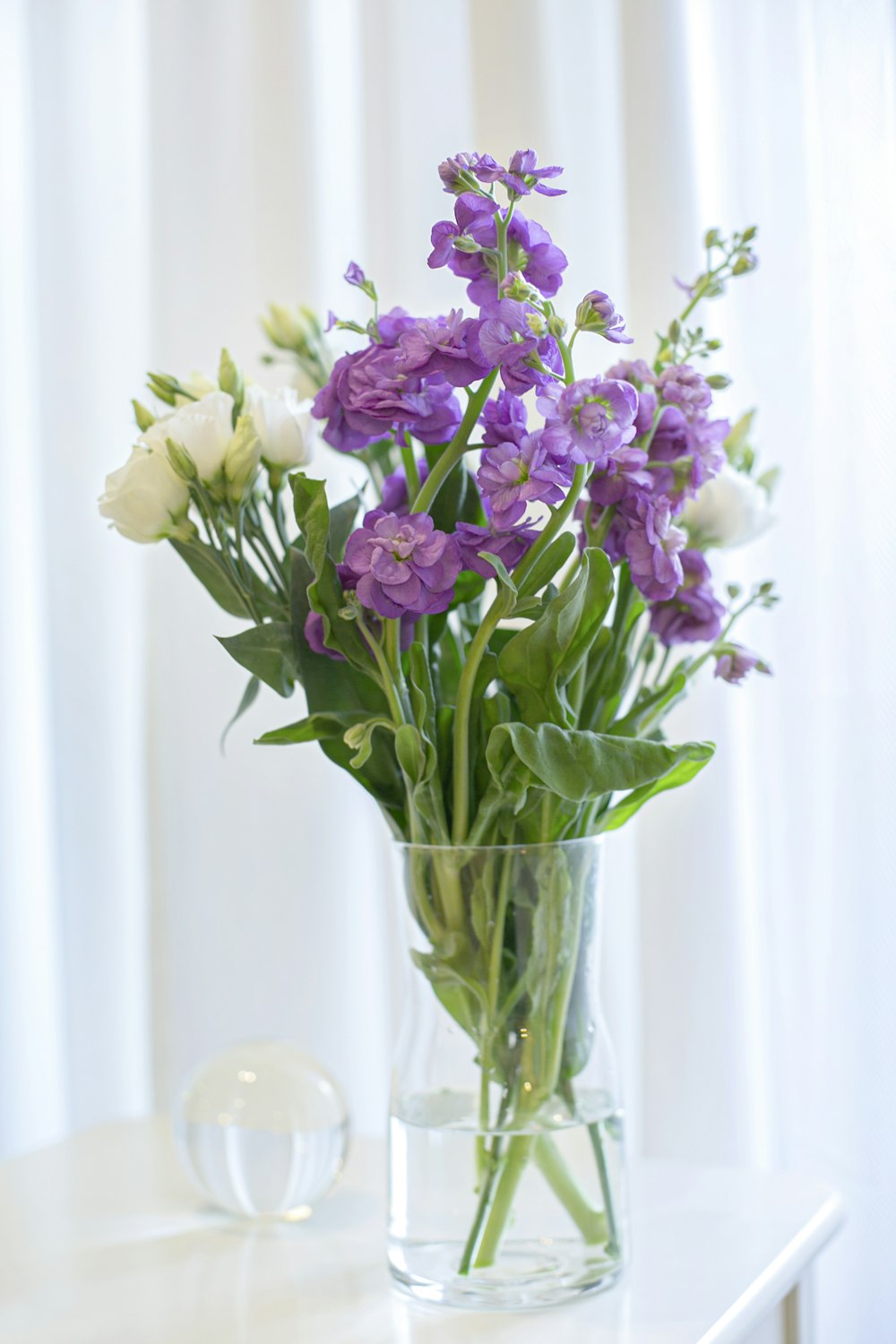 purple and white flowers in clear glass vase