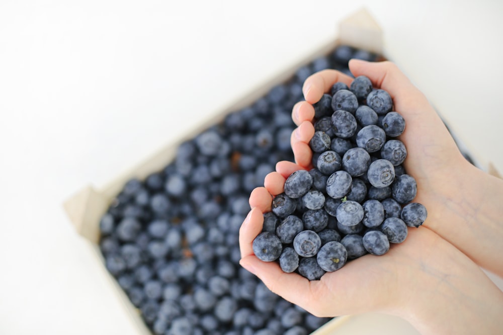 blue berries on white paper