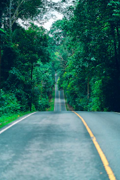 gray concrete road in between green trees during daytime