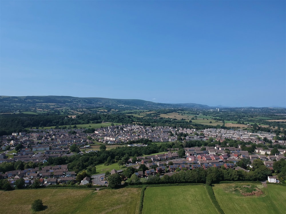 Champ d’herbe verte sous le ciel bleu pendant la journée