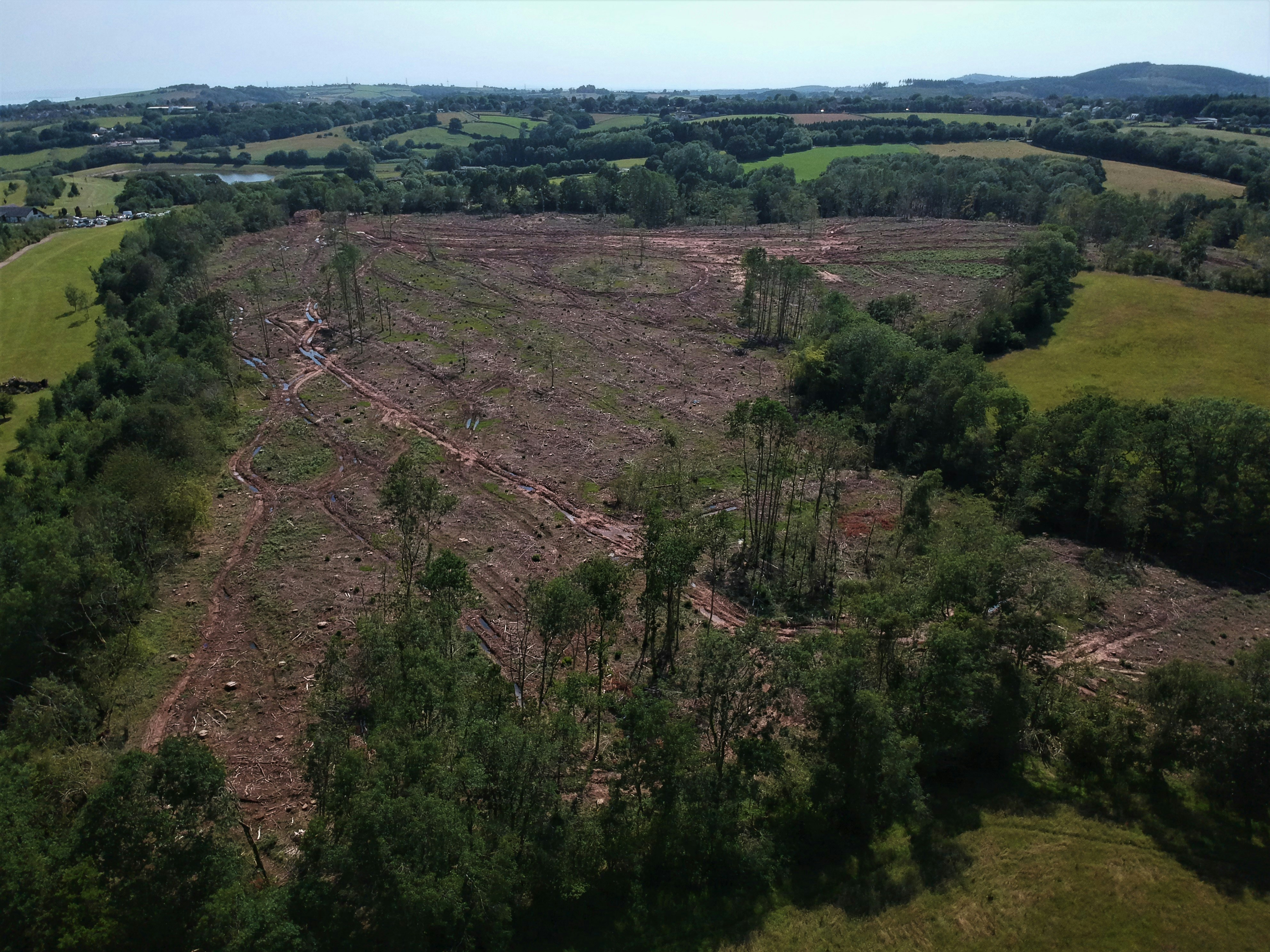 Aerial view of deforested Amazon rainforest with clear-cut areas and remaining trees
