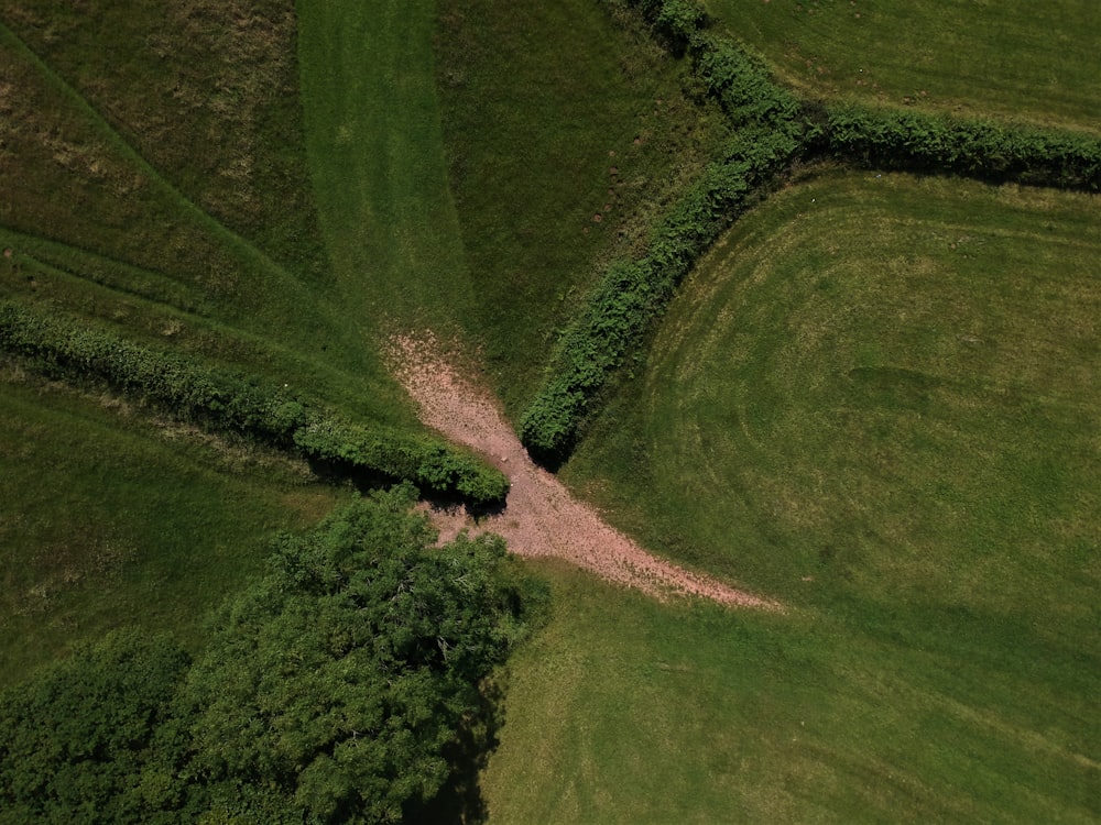 Vue aérienne d’un champ d’herbe verte