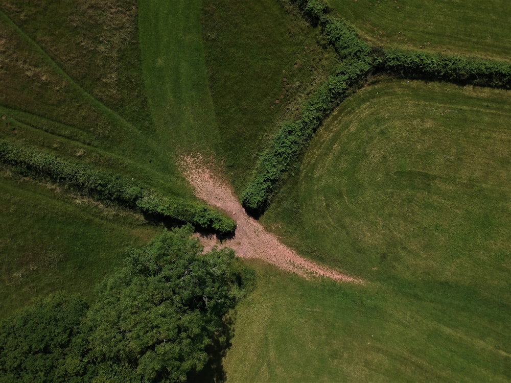 aerial view of green grass field