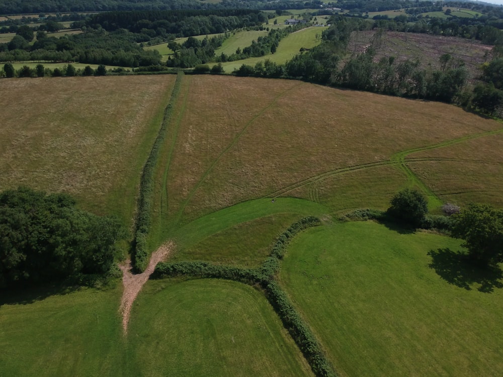 campo di erba verde durante il giorno