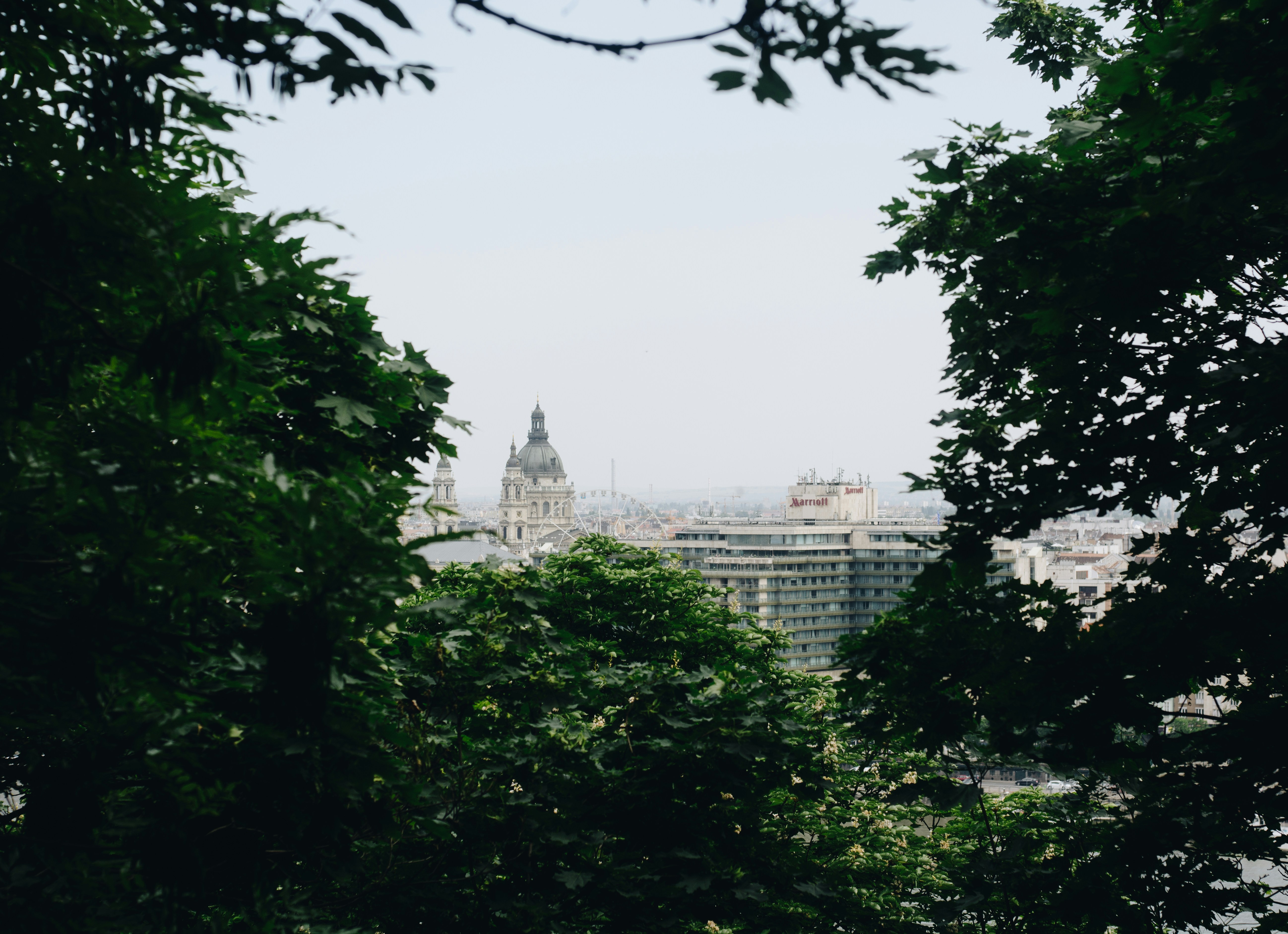 Photo by shandranick