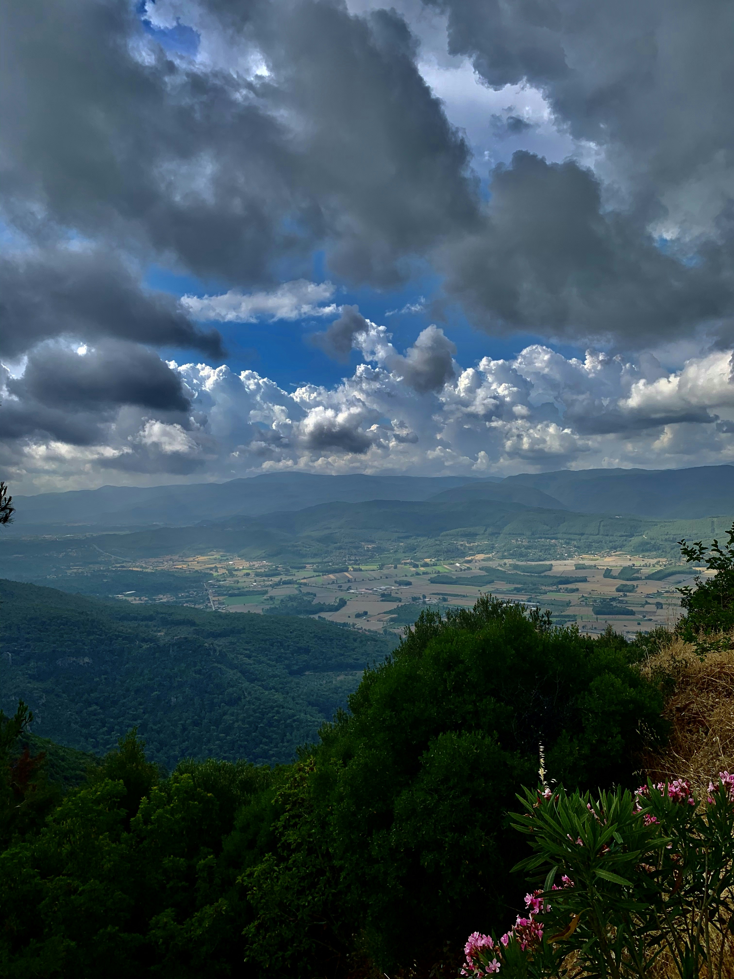 Photo by bavergaran