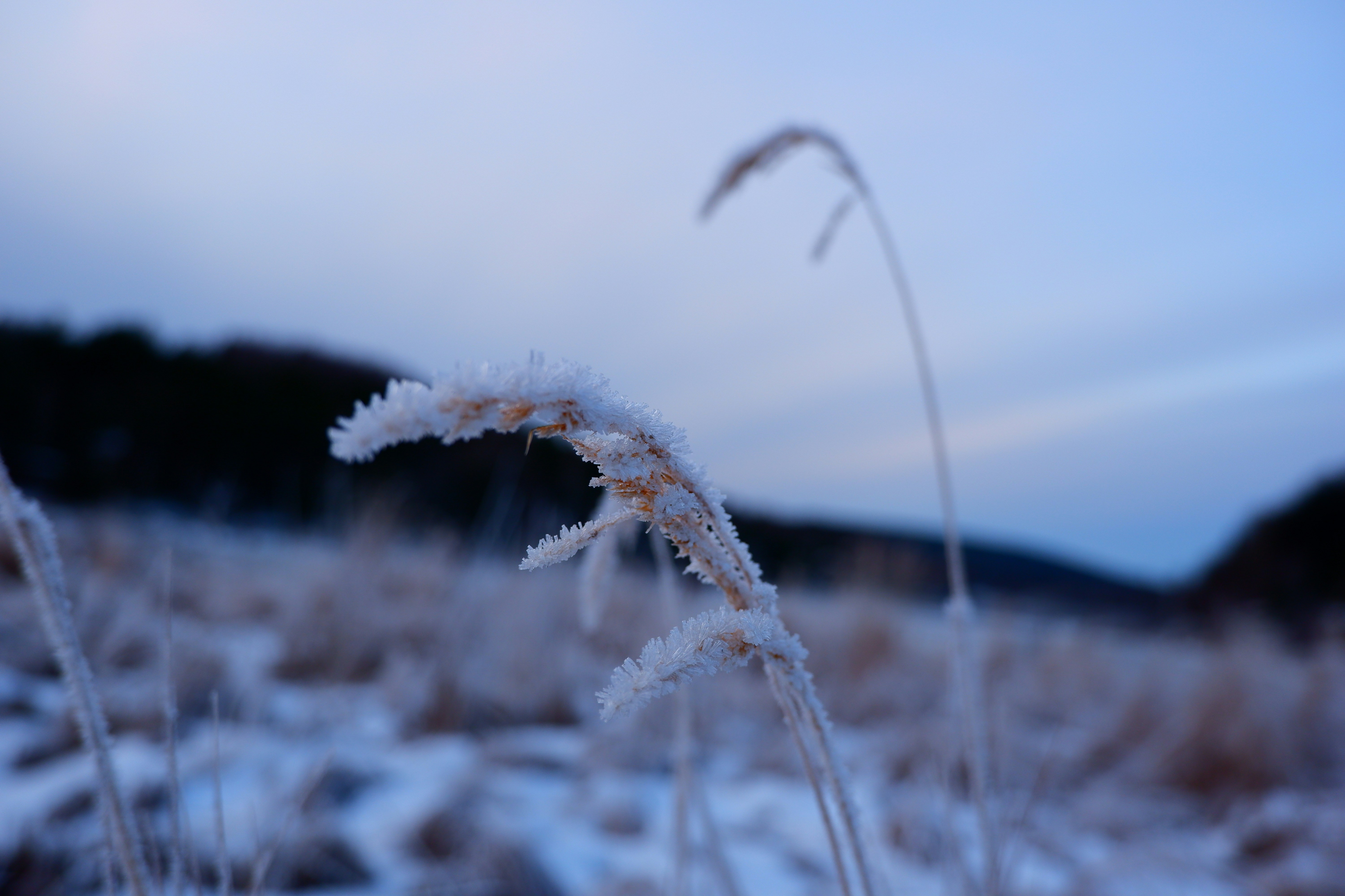 Photo by suleanjom