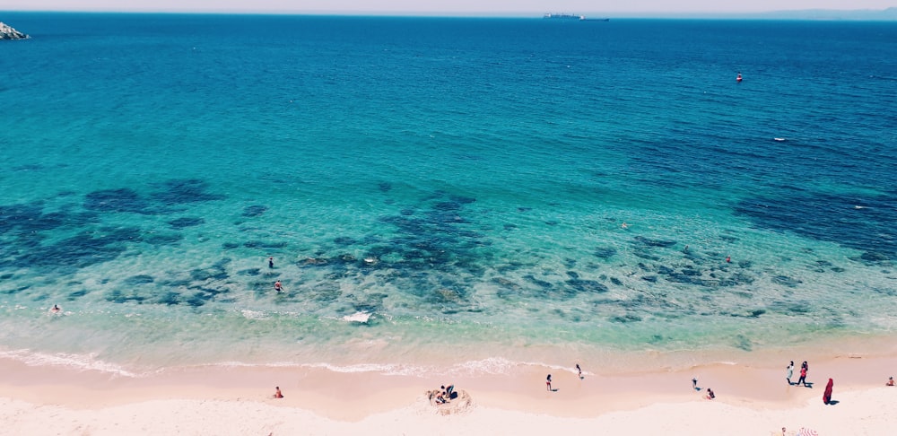 people on beach during daytime