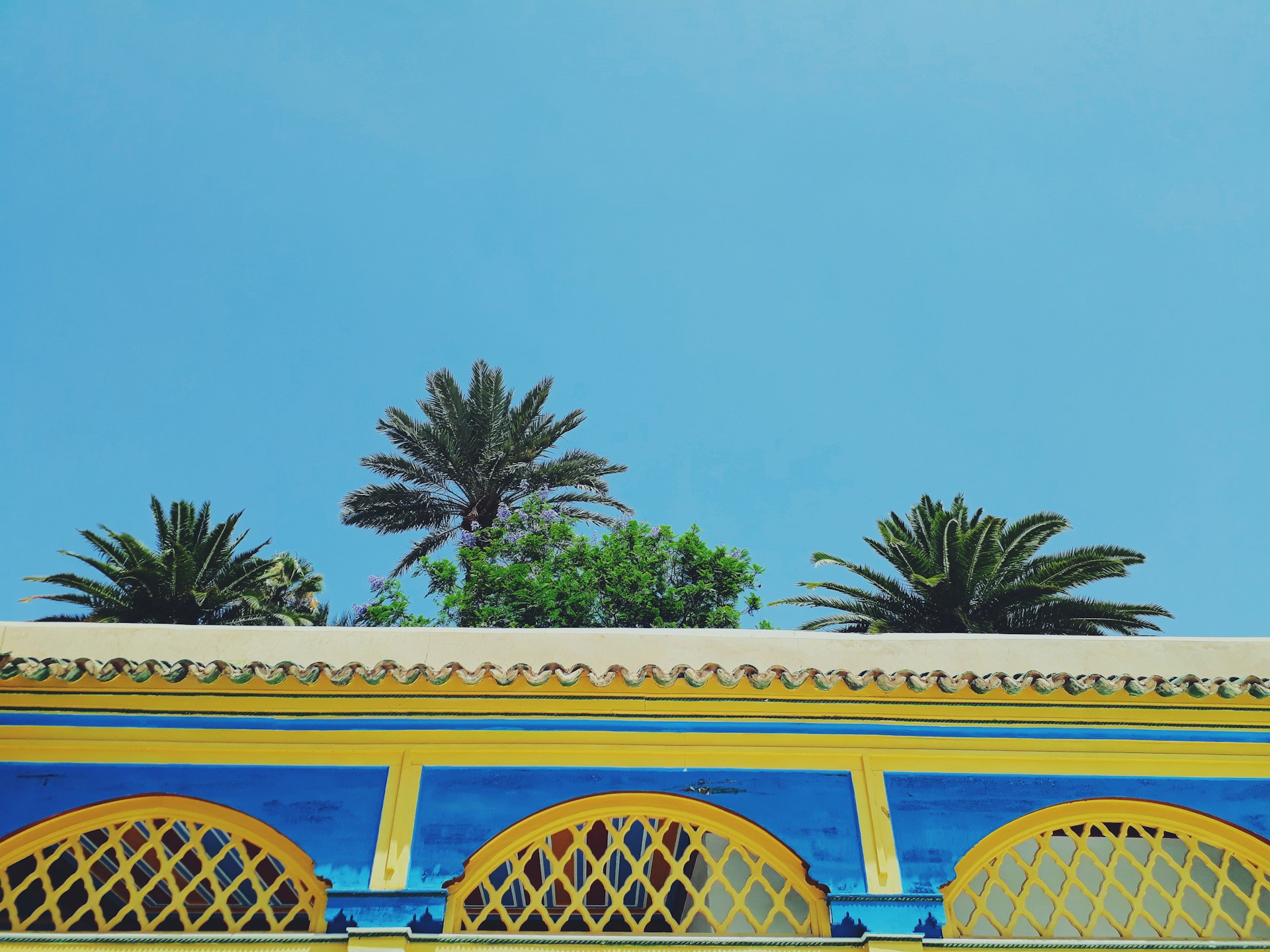 Iconic Rio de Janeiro hospital facade with palm trees and bright blue sky