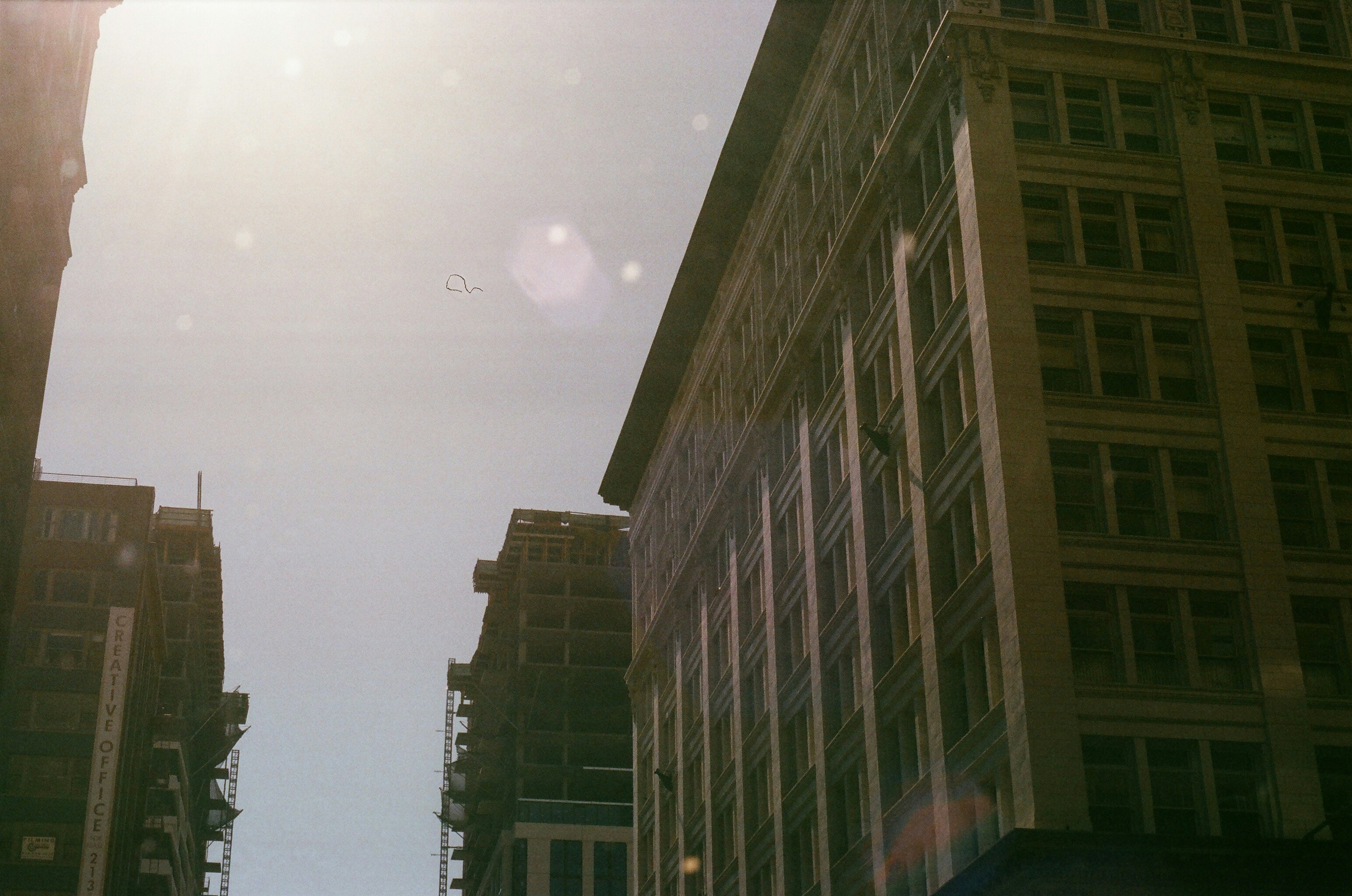 Photo by bearwashere