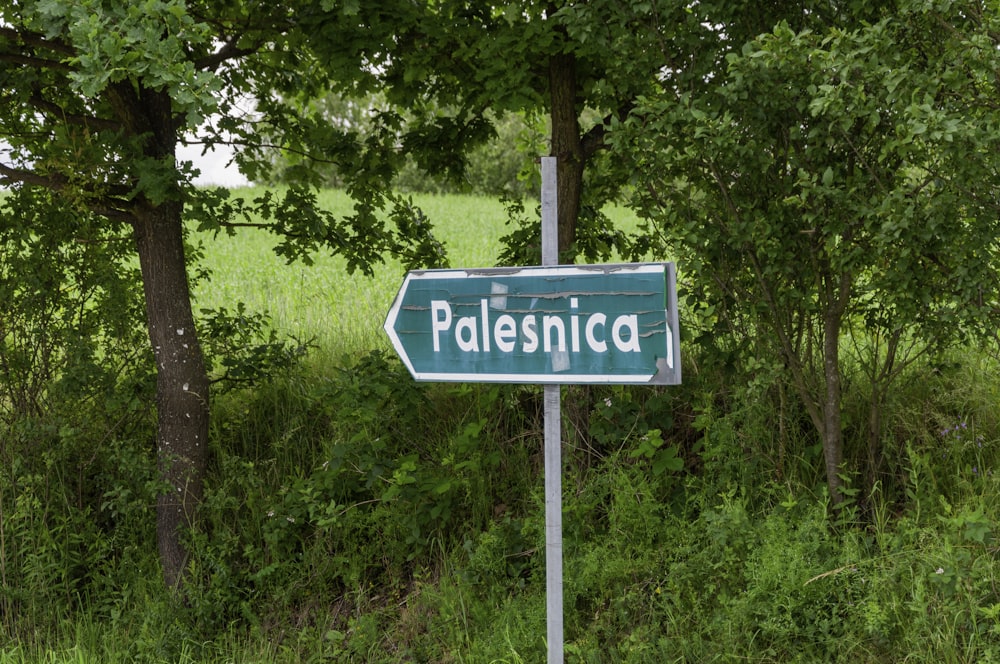 a green street sign sitting next to a lush green forest